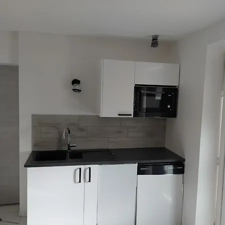 Reve De Panda Avec Sauna Et Jacuzzi Privatif Abrest Exterior photo
